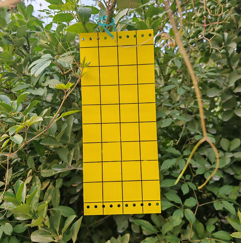 Желтая двусторонняя липкая ловушка для насекомых, ловушка для мух, липкие наклейки от комаров для трансграничной торговли на Amazon, сетка с 10 отверстиями, подходит для различных стран