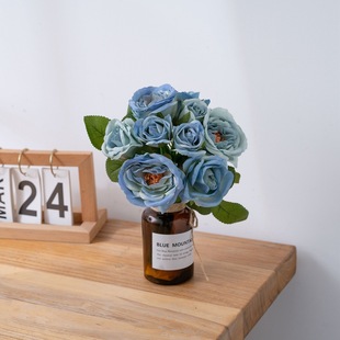 һ����}�ɏ���������滨���l�����ٻ�����ֲ��Ҿ��b�GF12495