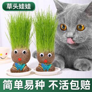 Watering Doll with Grass on Top of Head, Small Potted Plant Planting, Watering Doll, Children's Grass Planting, Kindergarten Creative Hydroponics