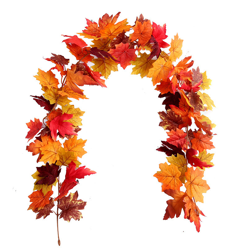 6 leaf circulation