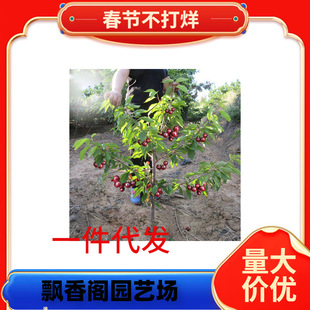 ���Ҙ��m�Ϸ������Nֲ����܇�����ش���Ҙ��ͺ�����ͥԺ���Ҙ���