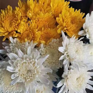 ���r������ֱ�l���r�S�ջ������������S�׾վջ����r����Ĺ����