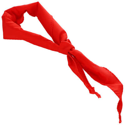 Neckerchief