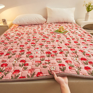 Milk Velvet Non-slip Mattress Xinjiang Cotton Bed Guard Cushion Double Family Bed Mattress Student Dormitory Single Bed