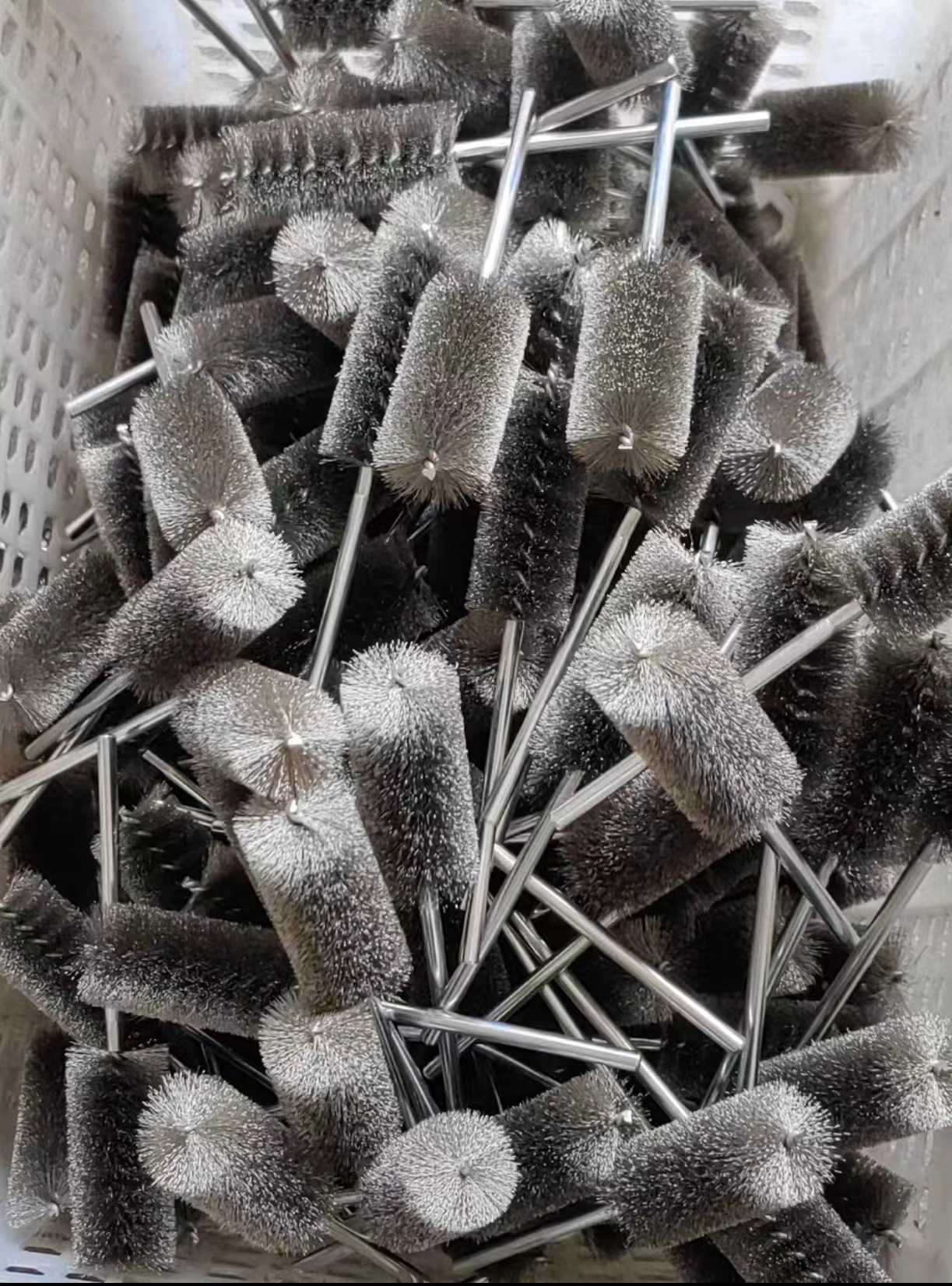 微信图片_202403171129191