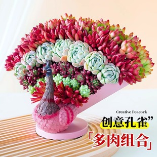 ��ȸ���ﻨ�����̈́��⻨���Fˇ��֬���⻨�軨�ܔ[���ƷDIY����