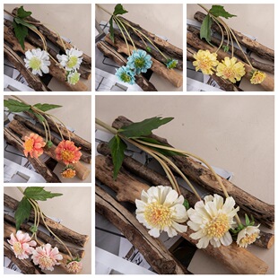 �S��4���L܇�m���滨õ���m������Ҿ��b�c�ٻ�MW35423