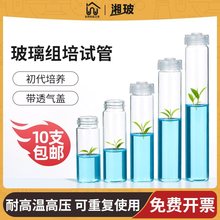 玻璃组培试管透气盖无菌菌种瓶初代植物组织培养基琼脂实验