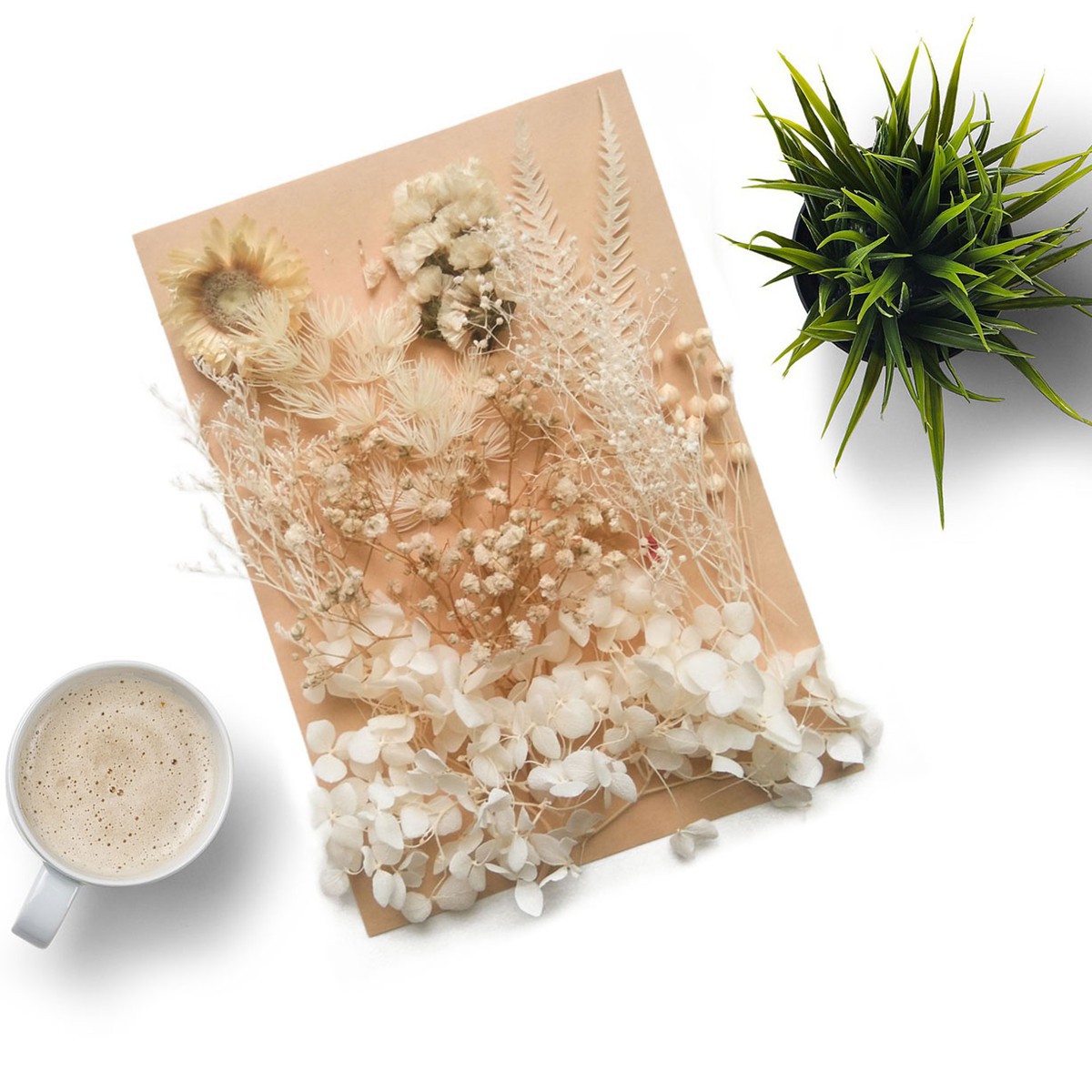 Flor seca flor eterna marco de fotos en relieve paquete de material combinación paquete de flores aromaterapia ventilador A5 bolsa de fábrica al por mayor transfronteriza