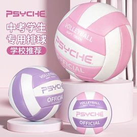 篮球;足球;排球