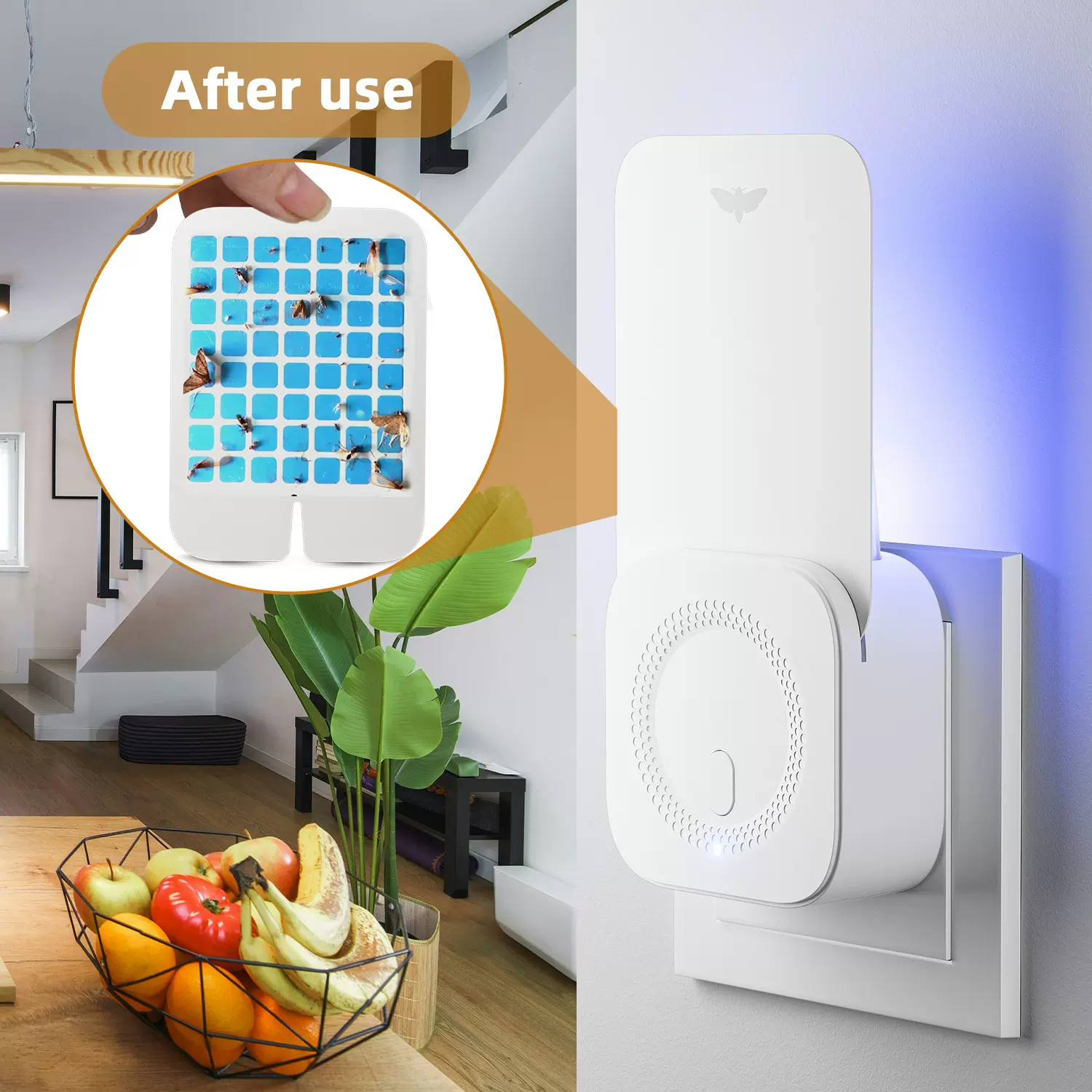 现货 飞蛾果蝇飞虫粘捕器 粘捕式灭蚊灭蝇灯 墙插粘板式捕虫器