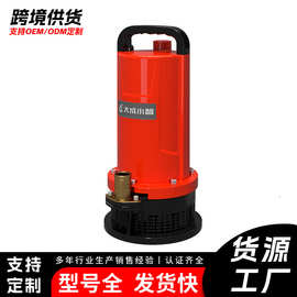 21V24v永磁高扬程直流潜水泵锂电水泵河道花园鱼池农用灌溉抽水机