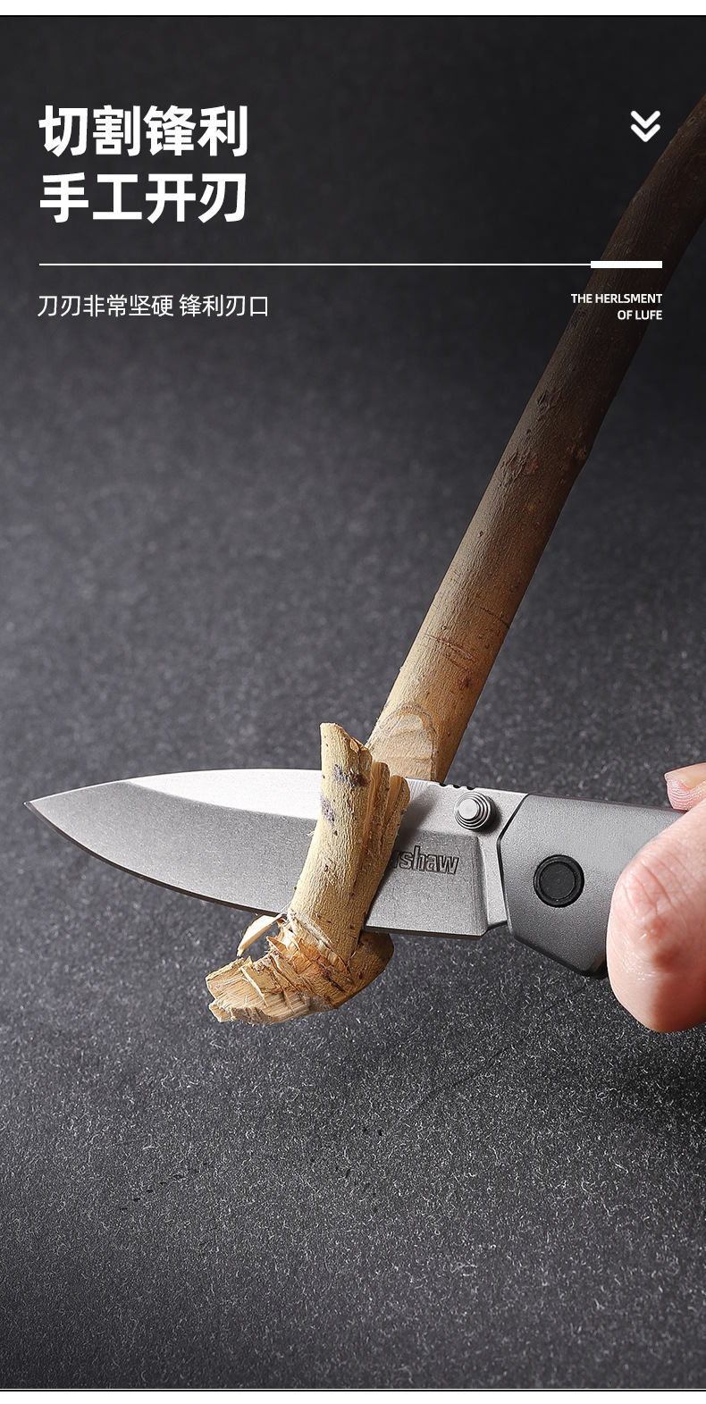 O1CN01ELkJfx1wqTeJpNMv0_!!2215444756359-0-cib.jpg?__r__=1750662228037