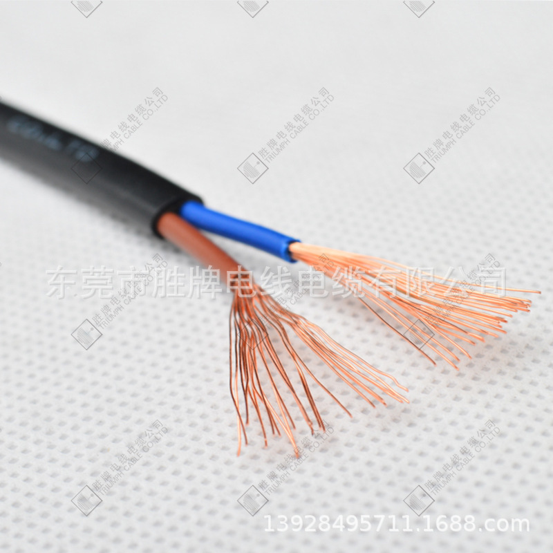胜牌H03VVH2-F扁线2芯0.5~0.75平方欧规VDE电源线插头线PVC护套线