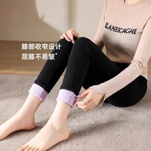 2031�⴩�޿�����ﶬ�����޼Ӻ�С�ڿ����Ů