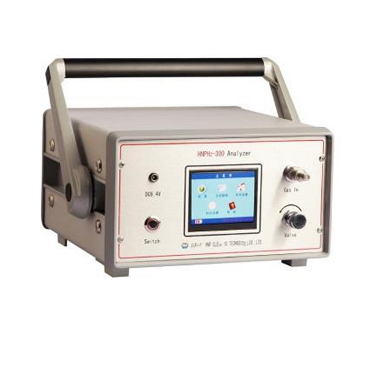 便携式热导型氢气纯度分析仪 中西 型号:HNPH2-300 库号：M387015