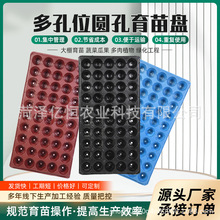 50������Ѩ�P��ľ�Ӹ��_ѿ��˲�ݮ�~��Ӻ����������NǤ��