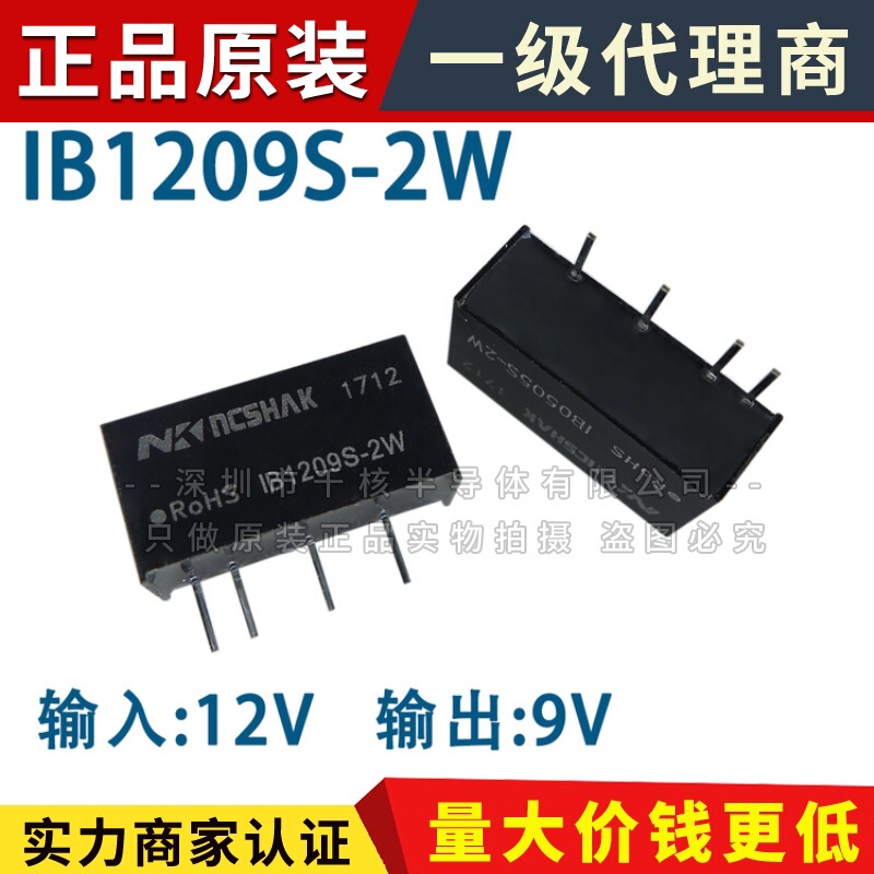 Ib1209S-2W Power Module Dc-Dc 12V to 9V Ib1209S-2Wr3 with Short Circuit Protection Ib1209S-2W Power Module Dc-Dc 12V to 9V Ib1209S-2Wr3 with Short Circuit Protection