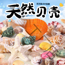 ��Ȼؐ�����ֹ�diy�׃��@�h������߶Y���~���쾰�b��ϰ�