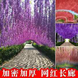 紫藤花长串仿真植物仿真豆花新款加密紫藤花藤条藤蔓吊顶橱窗装饰