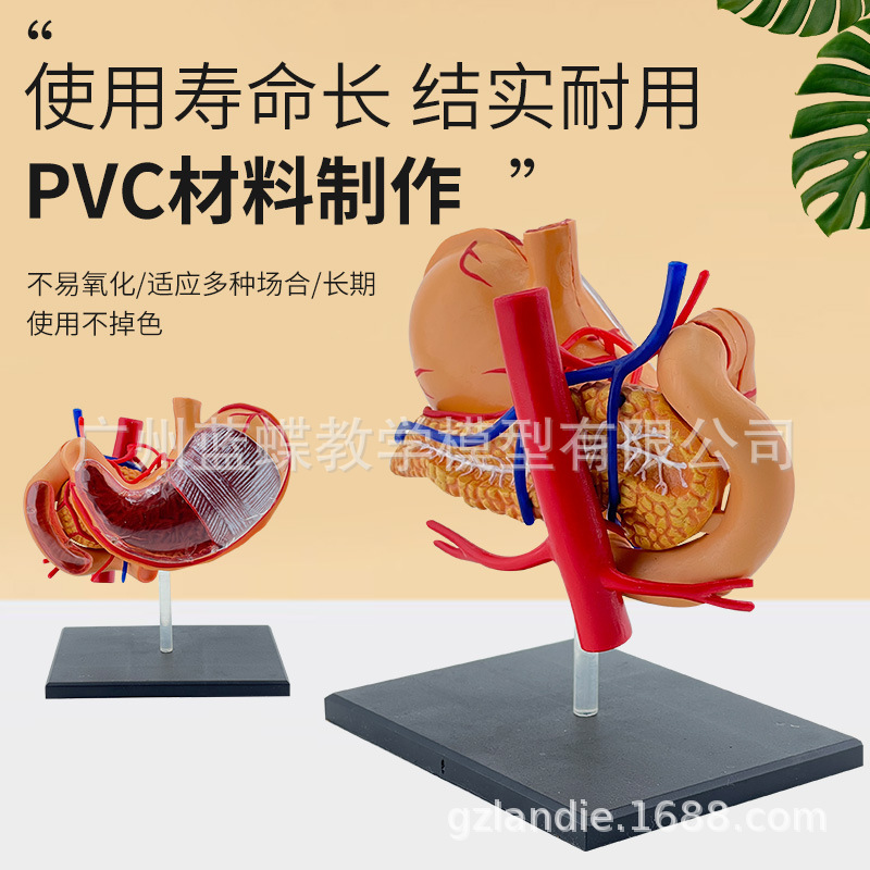 θ����ƴװģ�� �������ٽ���ģ�� �׶���������ģ��4Dθģ��