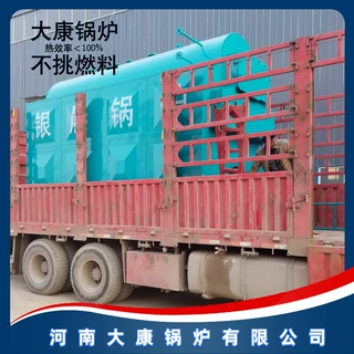 DZH6-1.25-T燃煤燃生物质蒸汽锅炉大康锅炉DZH6-1.25-TDZH4-1.25-