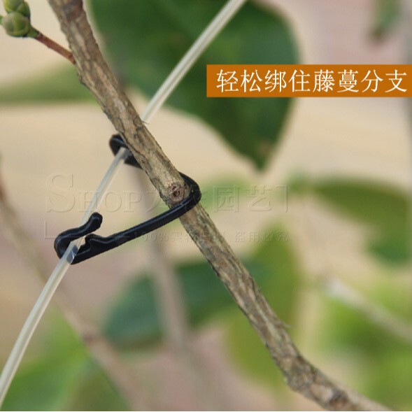 Wholesale grape tie with grape tie buckle buckle and clip vine fixed…