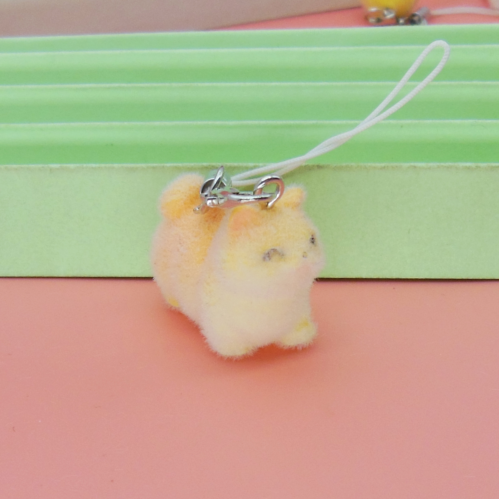 고양이 2