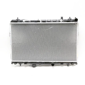 Elantra/Yuedong/Ix30 Avtomobil Radiatoru OE: 253102D110, 253102D510