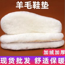 ����Ƥëһ�w�ӽq�Ӻ���ë�q��ůЬ�|����Ůͨ������͸����ëЬ�|