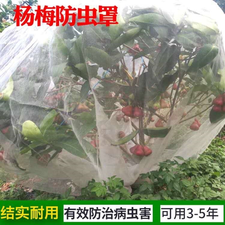 果树多肉大棚罗幔莲雾网罩水防风杨梅桃树罩樱桃罩防虫防