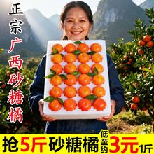 正宗广西砂糖橘当季新鲜10斤水果小橘子无籽金秋沙糖桔橘整箱桔子