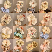 �nϵ��̖������c�lȦŮ2025�¿��߼��д��cȦ�^�K�l���؛