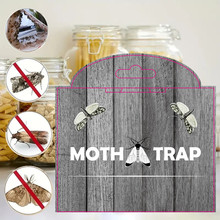 木纹款飞蛾诱捕器飞蛾捕捉器飞蛾贴衣蛾捕虫器