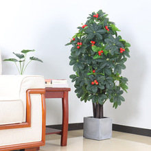 sL҃ؔ[O߷¾Gɫֲϼ٘Էlؔ辰