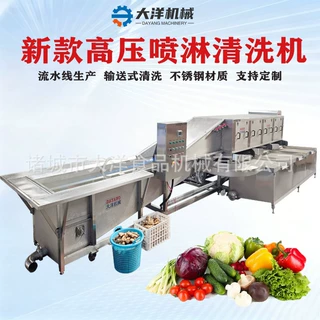 新品上市高压喷淋清洗机全自动支持定制循环水系统鲜姜高压清洗机