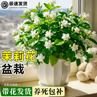 ���������ļ��_��������B�׻���Ϙ������ذ�ˮ����þ�����