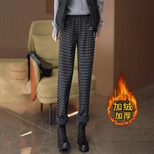 2025궬¿aӽqӺeѝŮ@ϵѝëѝ