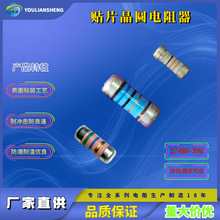 RJM 型精密圆柱状金属膜高压玻璃釉膜贴片晶圆高精密低温漂电阻器
