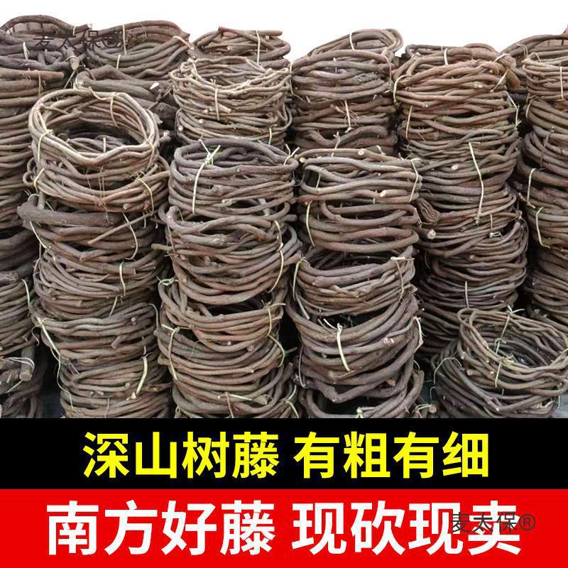 藤树枝植物婚麦红山干假叶管道老藤深山藤条枯藤葡萄树藤太保藤蔓
