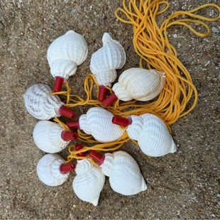 ��Ȼ���ݻ����ݿɴ�����ؐ�������b[�����ξ��c�ؔ���ͯ���