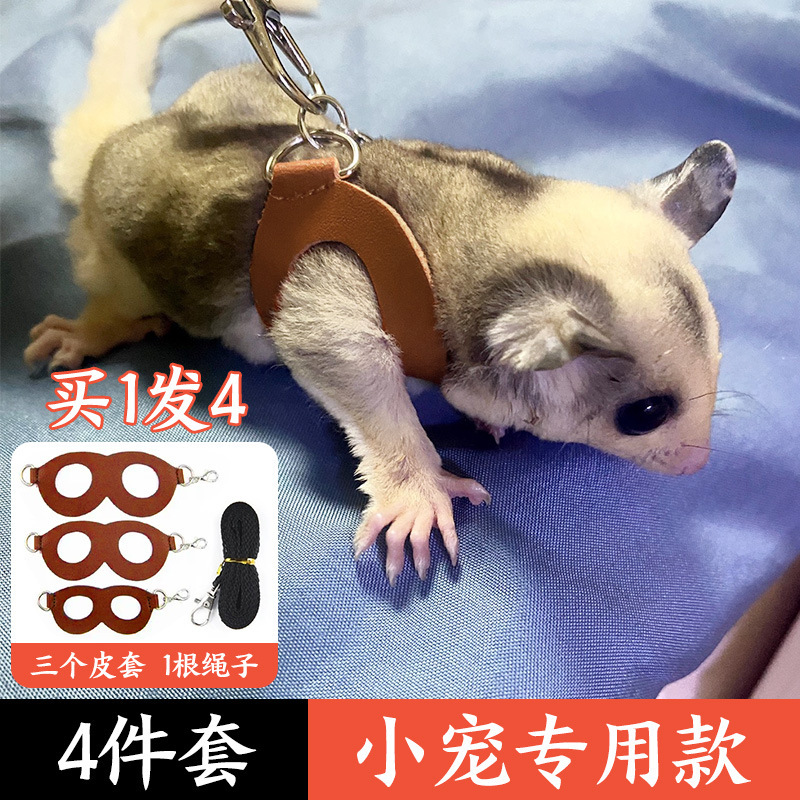 Honey bag traction rope out anti-escape anti-bite rope hamster Golden Bear squirrel pet supplies props wholesale Honey bag traction rope out anti-escape anti-bite rope hamster Golden Bear squirrel pet supplies props wholesale