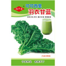 可可西里羽衣甘蓝  冯子龙种苗公司直售批零基地种植观赏蔬菜种子