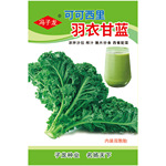 可可西里羽衣甘蓝  冯子龙种苗公司直售批零基地种植观赏蔬菜种子