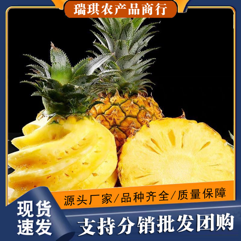 Xuwen Pineapple Is a Seasonal Fruit Shipped from Guangxi, Pineapple with Free Shipping, Fresh Fruit, Fragrant Pineapple, One-Piece Drop Shipping Xuwen Pineapple Is a Seasonal Fruit Shipped from Guangxi, Pineapple with Free Shipping, Fresh Fruit, Fragrant Pineapple, One-Piece Drop Shipping