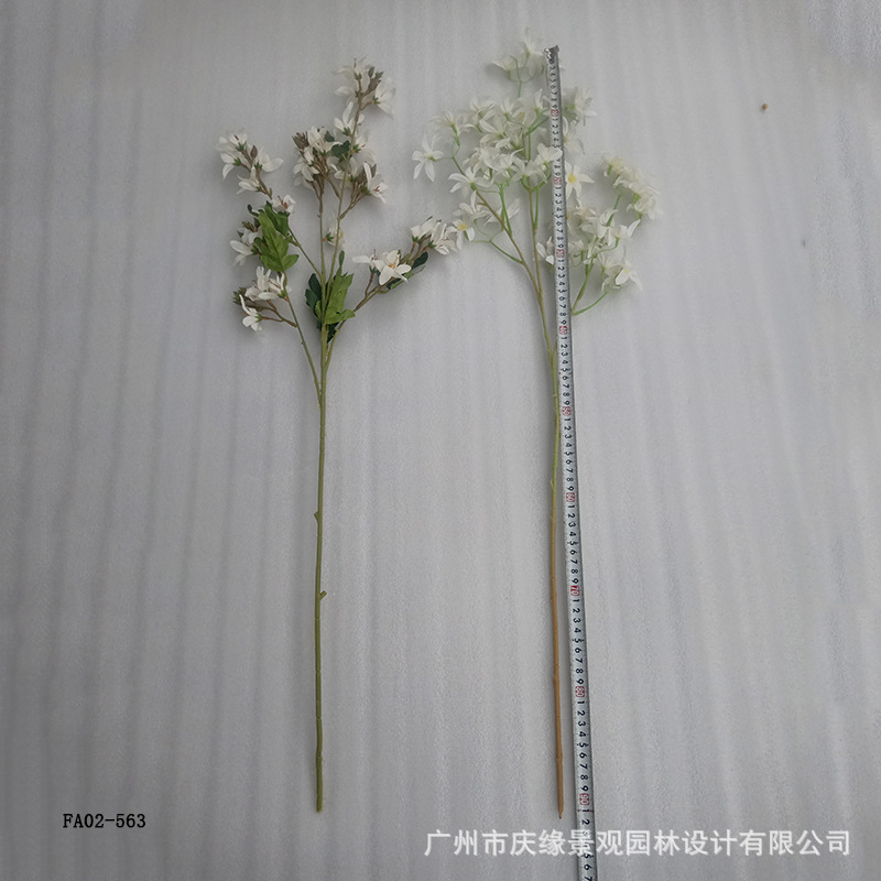 未标题-1.jpg