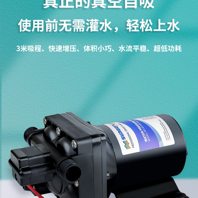 42款12v24v隔膜泵