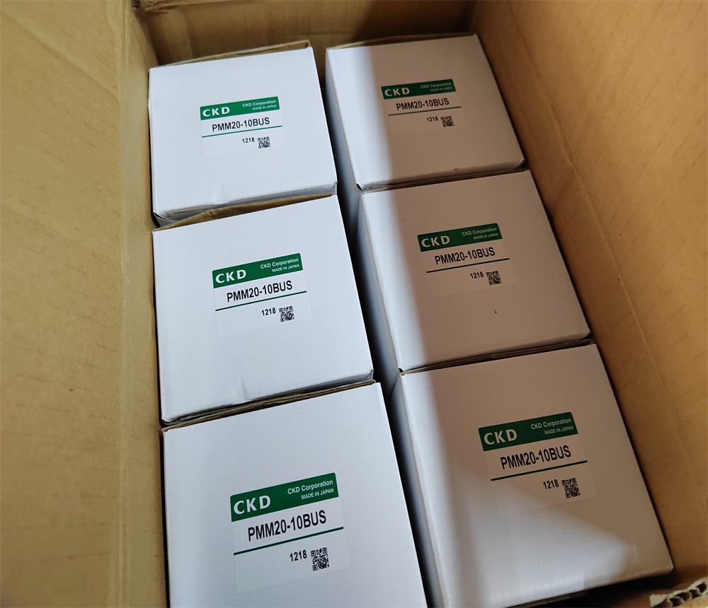 CKD  pmm20-10bus