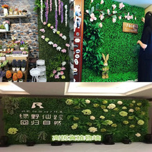 ֲϼٲƺb҃ȱOGֲ˹ڒٲƤ