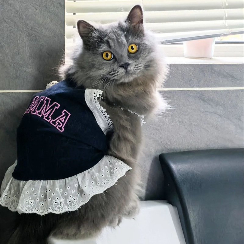 A principios de primavera y verano, ropa para perros, ropa para gatos, ropa para chalecos, ropa para osos, Bo Mei